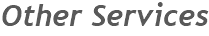 Other Services